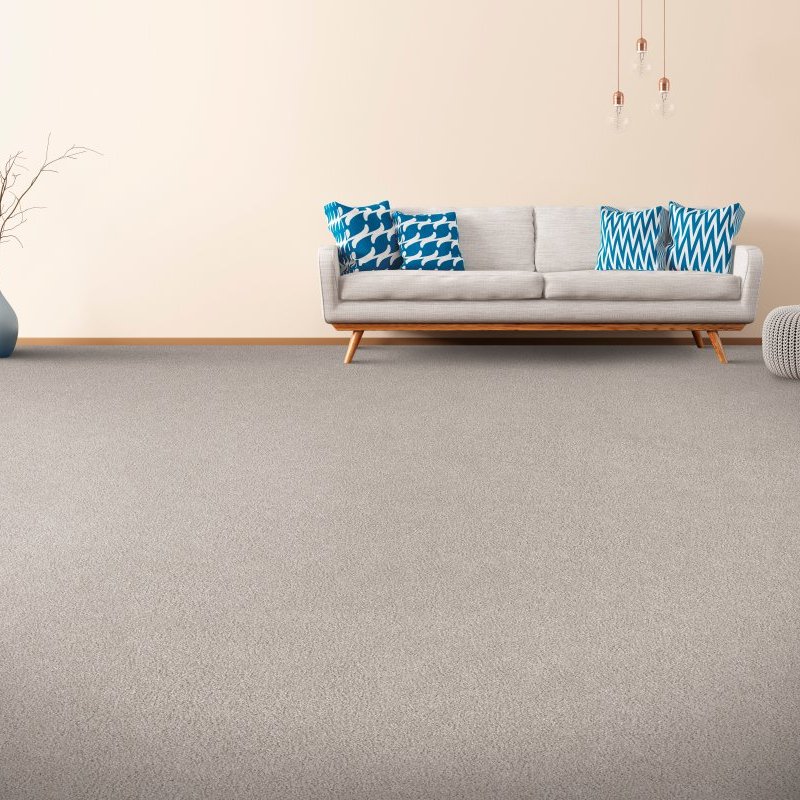 Beaver Carpets Inc. providing stain-resistant pet proof carpet in Tunnel Hill, GA.